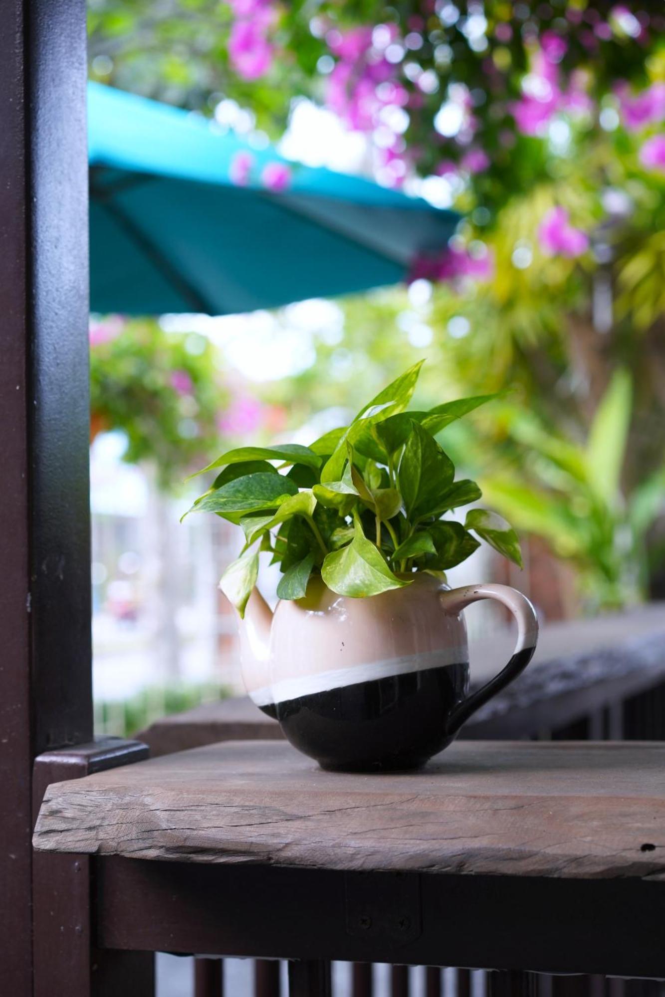 Blooms Boutique Village 4* Hoi An